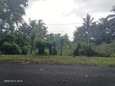 Tanah Zona Kuning Tidak LSD di Mambang Tabanan Bali - Thumbnail 2
