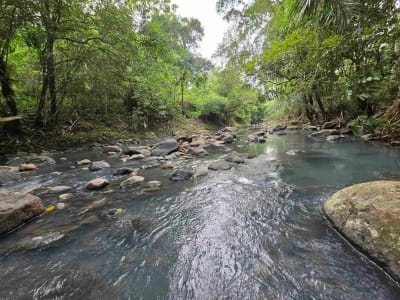 Dijual tanah langsung dengan sungai bebatuan di tabanan bali - Thumbnail 1