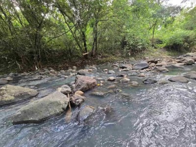 Dijual tanah langsung dengan sungai bebatuan di tabanan bali - Thumbnail 2