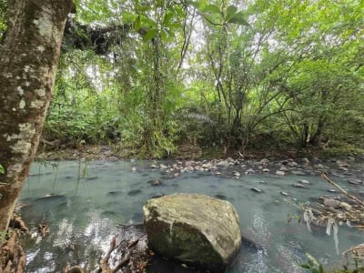 Dijual tanah langsung dengan sungai bebatuan di tabanan bali - Thumbnail 4