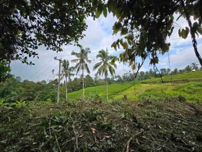 Dijual tanah murah los sungai view sawah terasering dan gunung di bali - Thumbnail 1