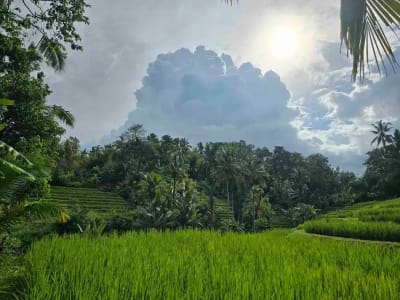 Dijual tanah murah los sungai view sawah terasering dan gunung di bali - Thumbnail 4
