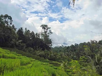 Dijual tanah murah los sungai view sawah terasering dan gunung di bali - Thumbnail 2