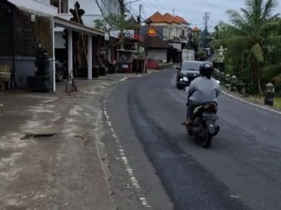 Tanah 25,76 Are Zona Perumahan Disewakan, di Area Sukawati Gianyar - Thumbnail 2