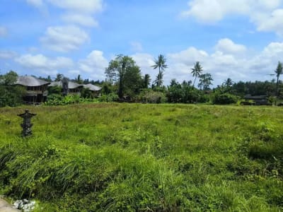 Tanah 870m2 Lingkungan Villa Mewah di Kemenuh Ubud Gianyar - Thumbnail 1