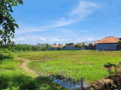TANAH JALAN UTAMA PANTAI SESEH BADUNG BALI - Thumbnail 1