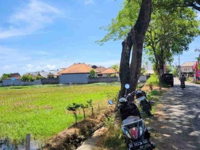 TANAH JALAN UTAMA PANTAI SESEH BADUNG BALI - Thumbnail 2