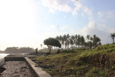 JUAL TANAH LUAS LOS PANTAI BERABAN TABANAN BALI - Thumbnail 7
