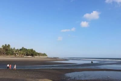 JUAL TANAH LUAS LOS PANTAI BERABAN TABANAN BALI - Thumbnail 3