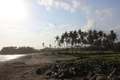JUAL TANAH LUAS LOS PANTAI BERABAN TABANAN BALI - Thumbnail 8