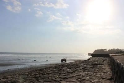 JUAL TANAH LUAS LOS PANTAI BERABAN TABANAN BALI - Thumbnail 4