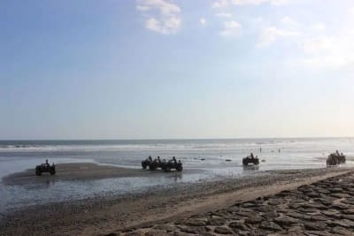 JUAL TANAH LUAS LOS PANTAI BERABAN TABANAN BALI - Thumbnail 5