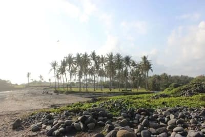 JUAL TANAH LUAS LOS PANTAI BERABAN TABANAN BALI - Thumbnail 9