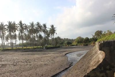 JUAL TANAH LUAS LOS PANTAI BERABAN TABANAN BALI - Thumbnail 6