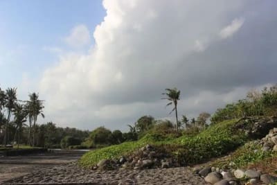 JUAL TANAH LUAS LOS PANTAI BERABAN TABANAN BALI - Thumbnail 10