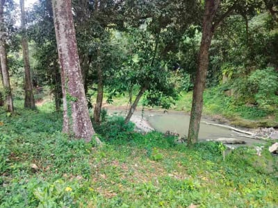 jual tanah premium.lok cepaka kaba kaba tabanan luas 3050m2 hrga 550jt/ are/100m2 - Thumbnail 1