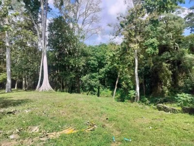jual tanah premium.lok cepaka kaba kaba tabanan luas 3050m2 hrga 550jt/ are/100m2 - Thumbnail 3