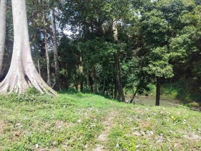 jual tanah premium.lok cepaka kaba kaba tabanan luas 3050m2 hrga 550jt/ are/100m2 - Thumbnail 7