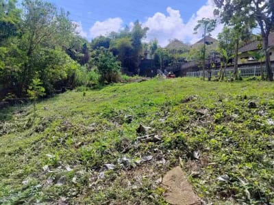 jual tanah premium.lok cepaka kaba kaba tabanan luas 3050m2 hrga 550jt/ are/100m2 - Thumbnail 9