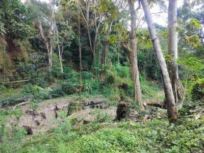 jual tanah premium.lok cepaka kaba kaba tabanan luas 3050m2 hrga 550jt/ are/100m2 - Thumbnail 10
