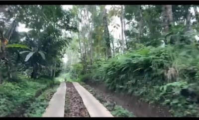 Villa Kampung Damai di Tabanan - Thumbnail 5