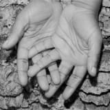 Stefan Ringer | Rami