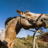 MALA GESTIÓN @ DEMO