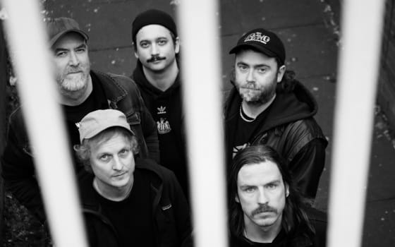 Pigs Pigs Pigs Pigs Pigs Pigs Pigs