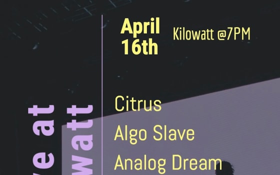 Analog Dream, algoslave and Citrus