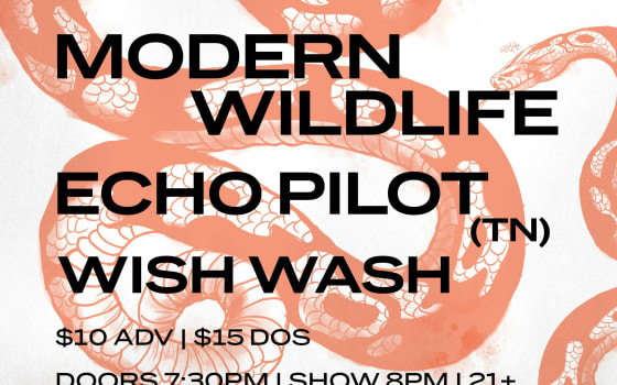Modern Wildlife, Echo Pilot (TN), & Wish Wash