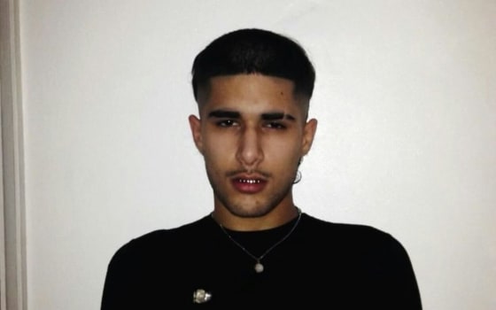 fakemink: a Terrible Beauty . - The Tour