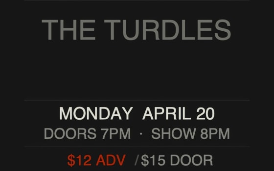 The Turdles, Seattle Snowday, 2 Gins In