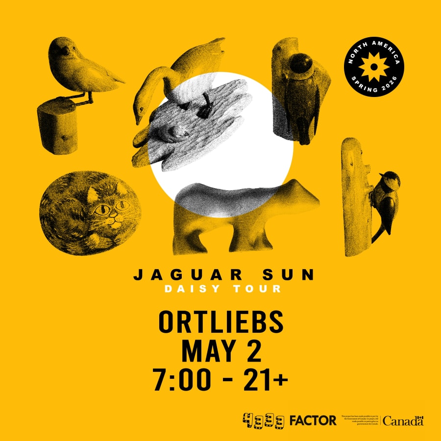 Jaguar Sun and Wilby