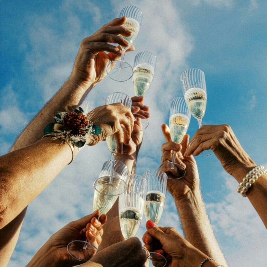 Cartoons & Cocktails