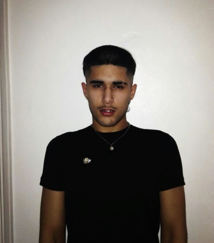 fakemink: a Terrible Beauty . - The Tour