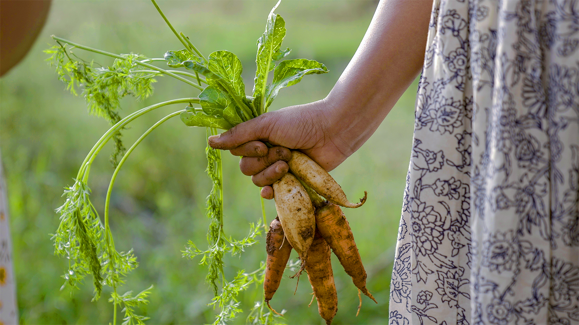 Community Vegetable Garden