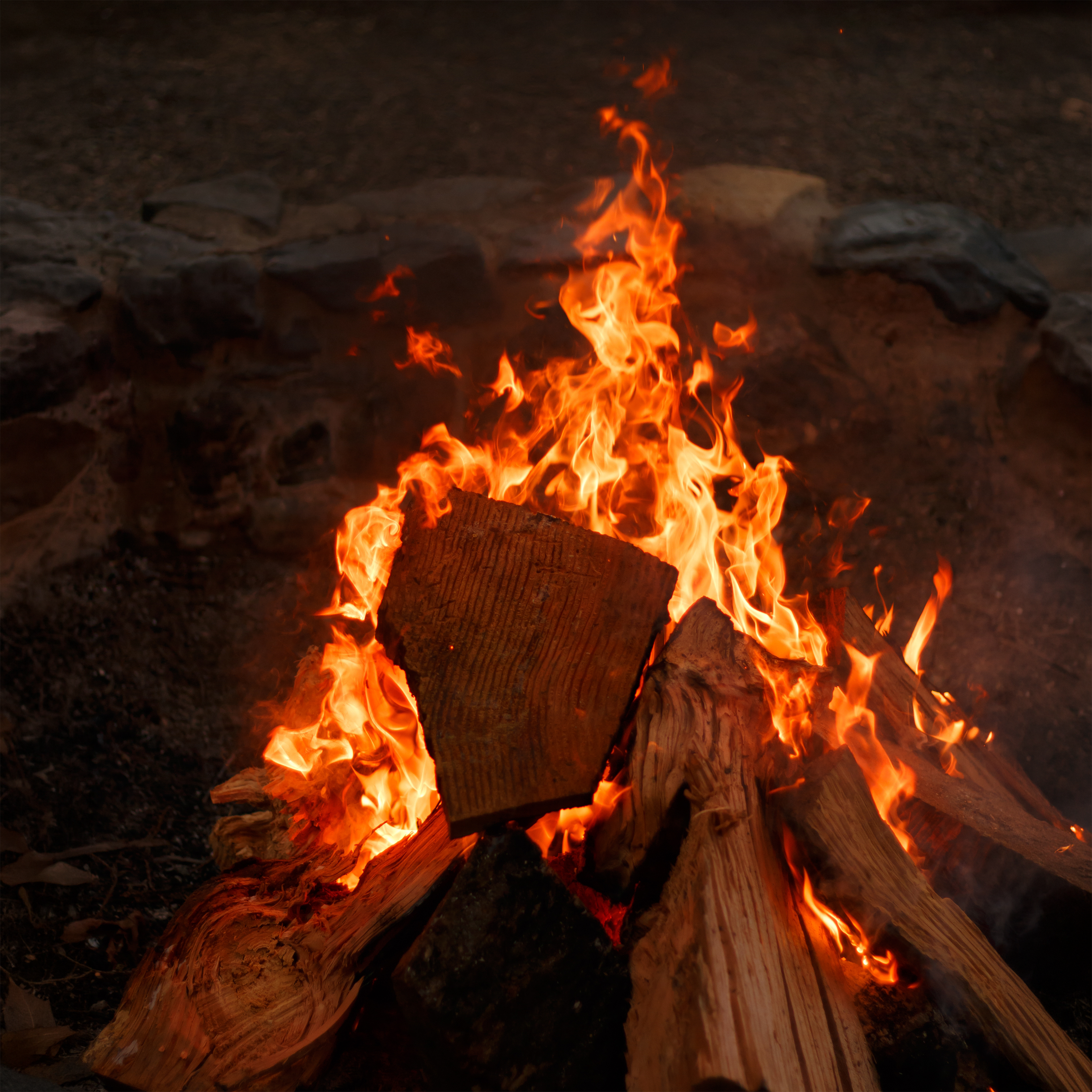 Camping and Bonfire at Eco Habitat