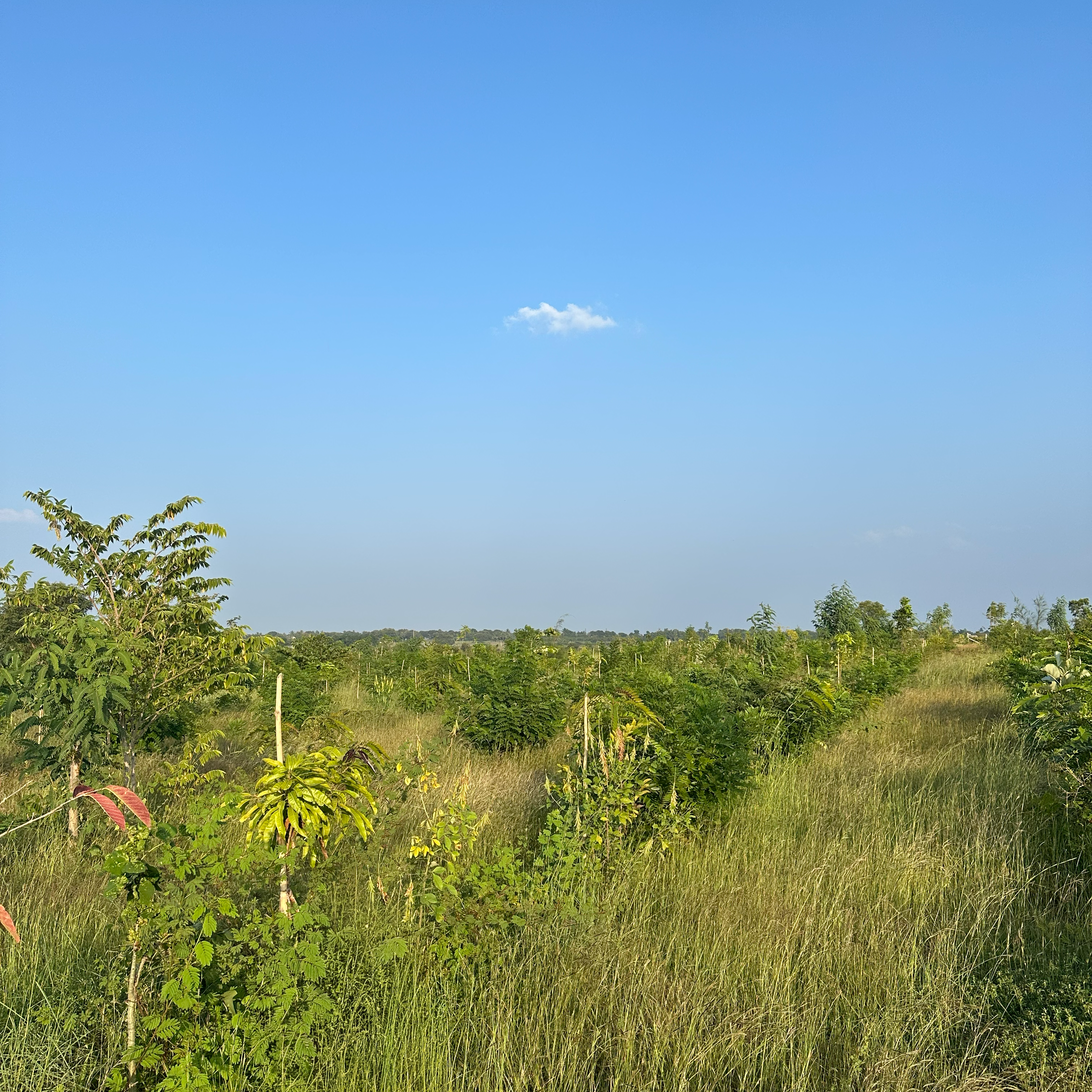 Samruddhi Gallery Image 8