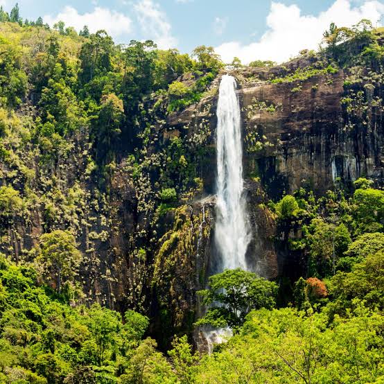 Bambarakanda Fall Tour