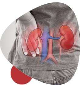Glomerulonephritis