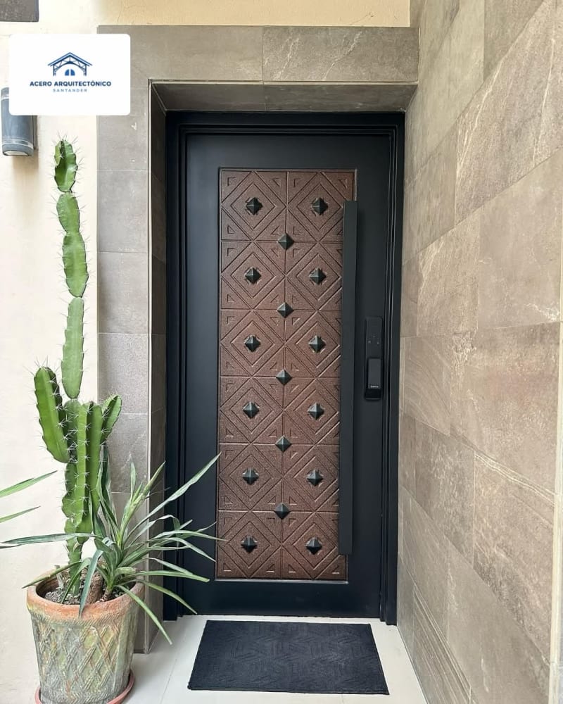 Puertas de Hierro Modernas 13