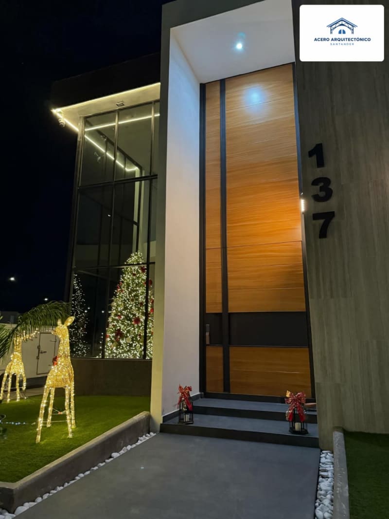 Puertas de Hierro Modernas 14