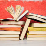 Avvocato camilla lanzani