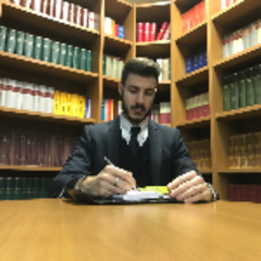 Avvocato Luca Brazzit