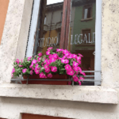 Avvocato Simone Zampieri