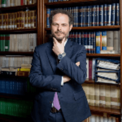 Avvocato Luca Perini