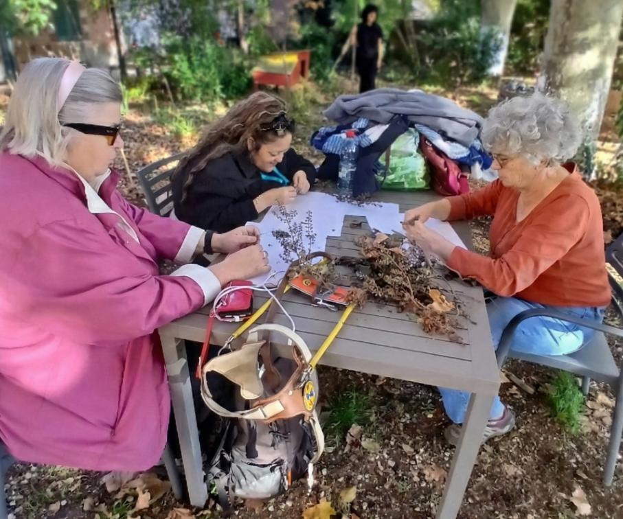 Nature et jardin — jardinage participatif