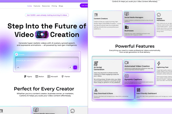 Carbina AI case study preview