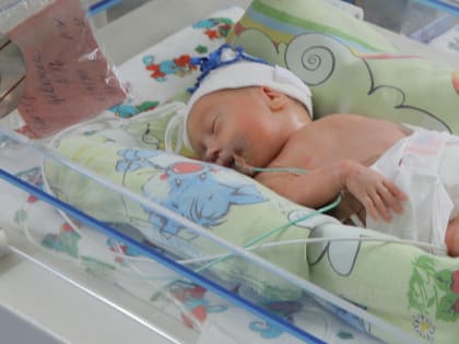 Рождаемость в 2022 году в Новосибирской области опять снизилась