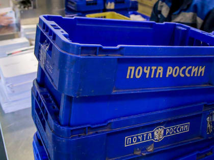 Больше 12 тысяч бесплатных посылок отправили в зону СВО новосибирцы
